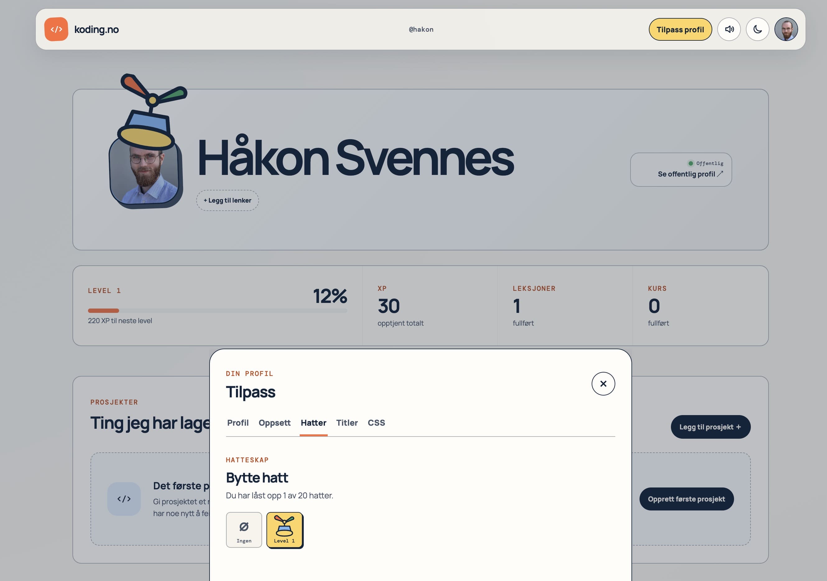 Screenshot of profile and hat-change